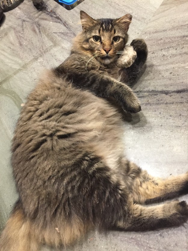 Kitty Carson with mouse